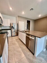 31325 Midnight Sun Wy in Wesley Chapel, FL - Building Photo - Building Photo