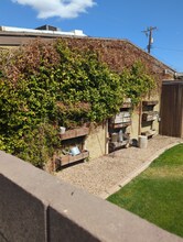 1646 E Indianola Ave in Phoenix, AZ - Building Photo - Building Photo