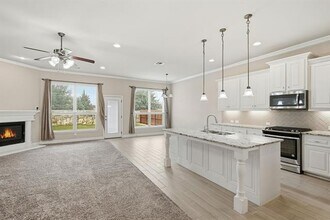 513 Mistflower Springs Dr in Leander, TX - Building Photo - Building Photo