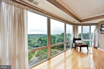 3101 N Hampton Dr, Unit #911 in Alexandria, VA - Building Photo - Building Photo