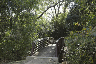 Chappell Creek Village in Temple, TX - Building Photo - Building Photo