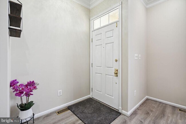42929 Shelbourne Square in Chantilly, VA - Building Photo - Building Photo