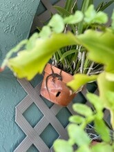 2227 Pineland Dr in Englewood, FL - Building Photo - Building Photo