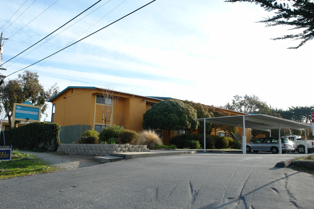 Marina Cypress Apartments in Marina, CA - Building Photo