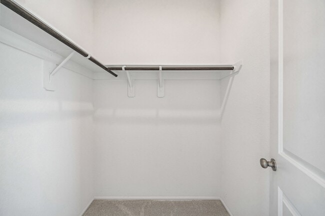 property at 24046 Priano Frst Dr