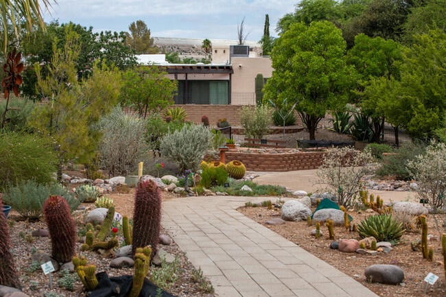 Apartments for rent in The Vistas at Madera Highlands, AZ