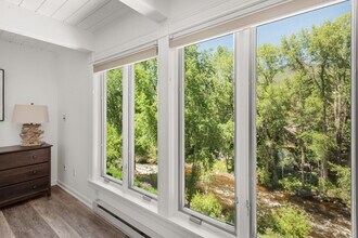 916 E Hopkins Ave in Aspen, CO - Building Photo - Building Photo