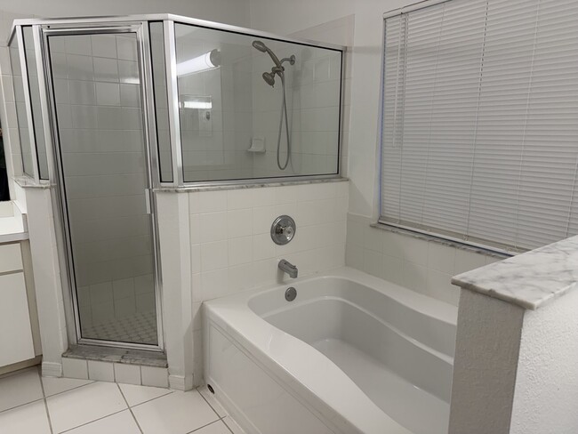 30643 Tremont Dr in Zephyrhills, FL - Foto de edificio - Building Photo