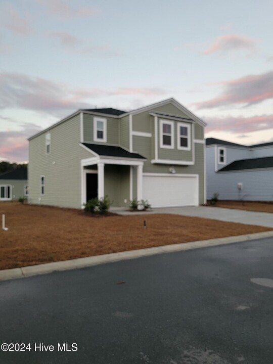 1091 Pink Snapper Pl in Sunset Beach, NC - Building Photo