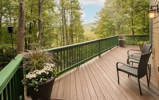 830 W Tweetsie Ln in Banner Elk, NC - Building Photo