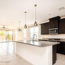 4269 W Coneflower Ln in San Tan Valley, AZ - Building Photo - Building Photo