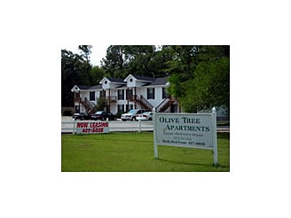 Olive Tree Apartments in Jesup, GA - Building Photo