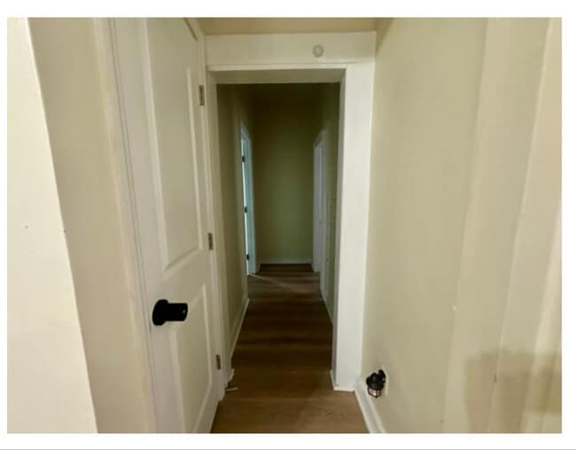 24 Palmer St