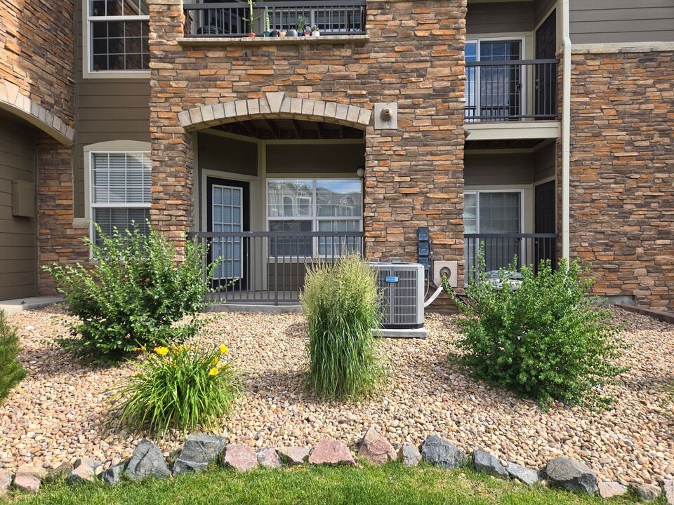 1425 Blue Sky Cir in Erie, CO - Building Photo