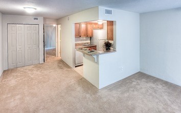 Chelsea Lane Apartments in Gainesville, FL - Building Photo - Interior Photo