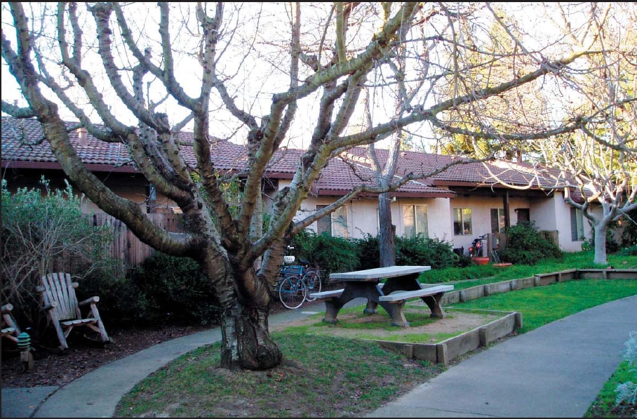 2449 Elendil Ln in Davis, CA - Foto de edificio