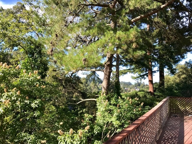 property at 339 Taurus Ave