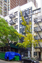 342 E 85th St in New York, NY - Building Photo - Building Photo