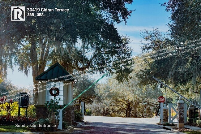 30419 Gidran Terrace in Mount Dora, FL - Building Photo - Building Photo