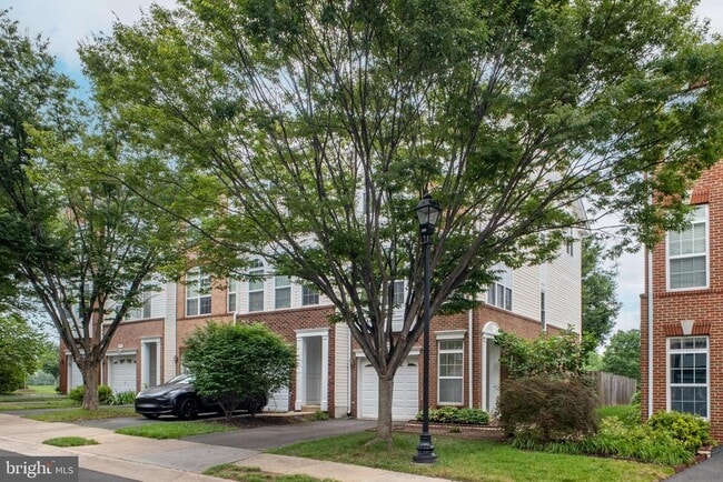 20468 Greymont Terrace in Ashburn, VA - Building Photo - Building Photo