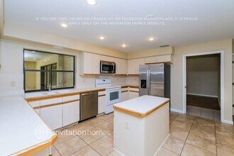 3768 Windber Blvd in Palm Harbor, FL - Building Photo - Building Photo