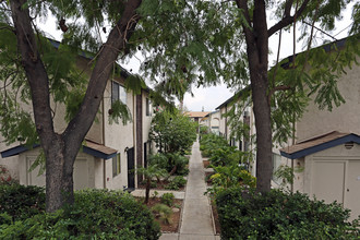 Orchard Villa Townhomes in Lakeside, CA - Building Photo - Building Photo