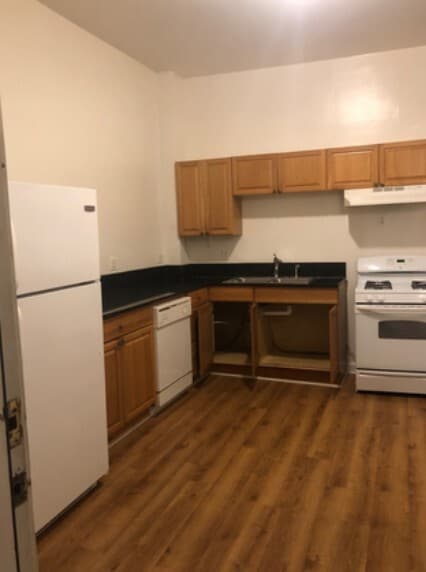 1021 S Racine Ave in Chicago, IL - Building Photo - Building Photo