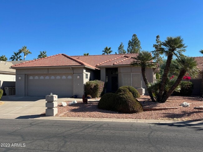 26247 S Flame Tree Dr in Sun Lakes, AZ - Building Photo - Building Photo