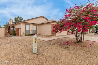 851 E Calle Del Norte in Chandler, AZ - Building Photo - Building Photo