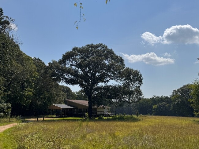 property at 3385 FM1795