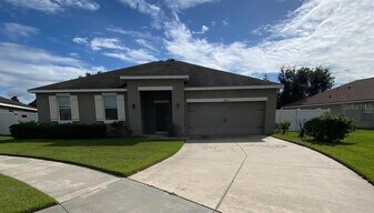 36246 Delta Gold Ct in Zephyrhills, FL - Building Photo