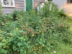 176 Bagley Hill Rd in Troy, ME - Building Photo - Building Photo