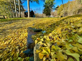 4502 State Rt 17B in Callicoon, NY - Building Photo