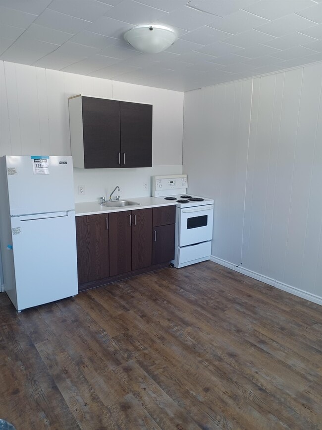 305 Langside St in Winnipeg, MB - Building Photo - Building Photo