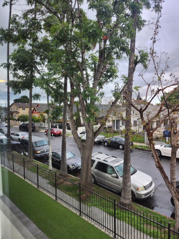 4828 McKinley Ave in Los Angeles, CA - Building Photo - Building Photo