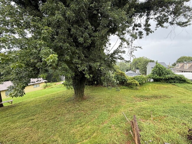 308 Monroe St in Lynchburg, VA - Building Photo - Building Photo