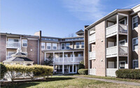 Pine Hills Apartments 55+ in Raleigh, NC - Building Photo - Building Photo