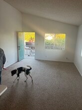 409 El Sueno Rd in Santa Barbara, CA - Building Photo - Building Photo