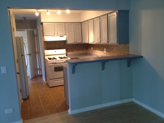 1300 Queensgreen Cir in Naperville, IL - Building Photo - Building Photo