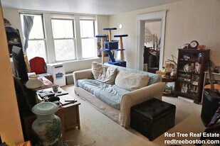 20 Colborne Rd in Boston, MA - Building Photo