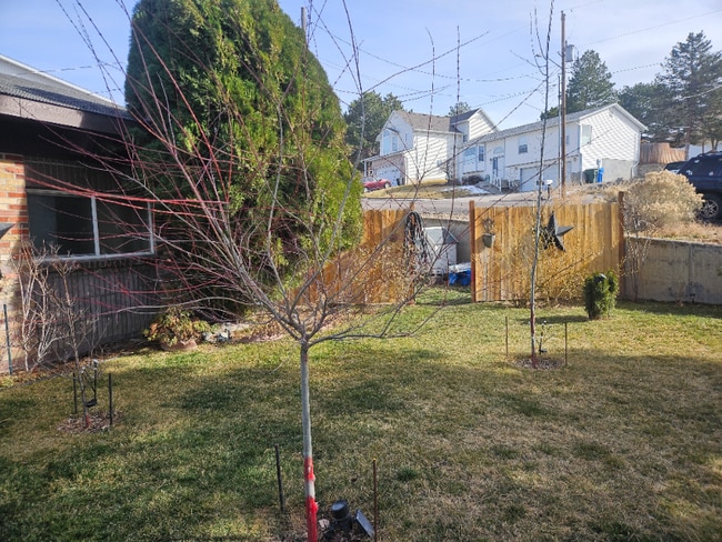 1650 Jean St in Pocatello, ID - Building Photo - Building Photo