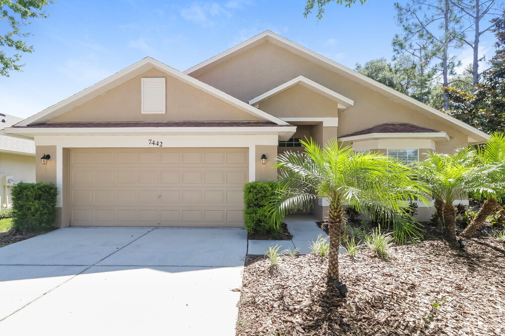 7442 Citrus Blossom Dr in Land O Lakes, FL - Building Photo