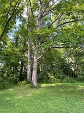 178 Elm St in Helenwood, TN - Building Photo - Building Photo
