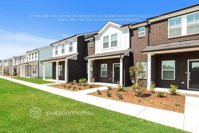 239 River Rock Dr in Lebanon, TN - Foto de edificio - Building Photo