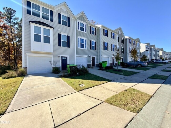 property at 1110 Romeria Dr