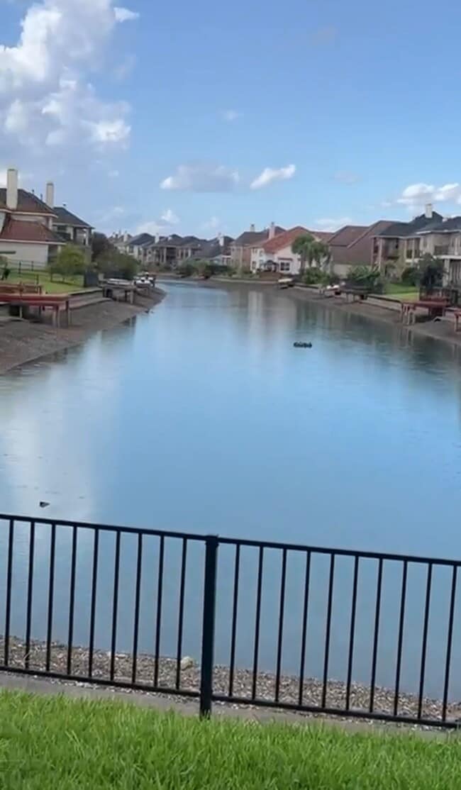 property at 5203 Auckland Dr