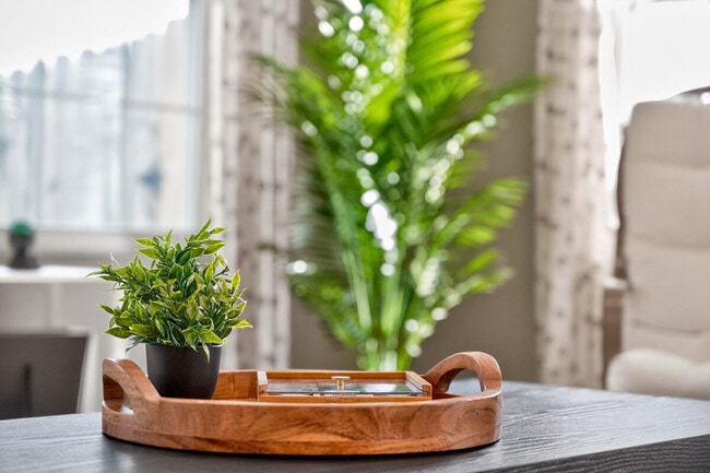 property at 1961 Creek Bank Dr