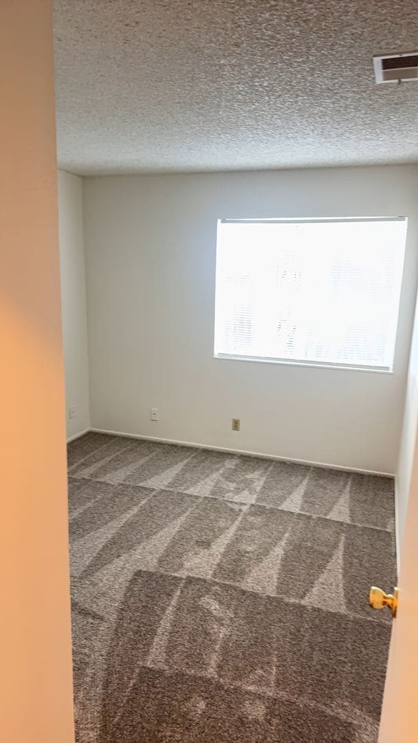 33592 Stephano Ct in Fremont, CA - Building Photo - Building Photo