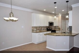 25274 Finchgrove Ln in Katy, TX - Building Photo - Building Photo