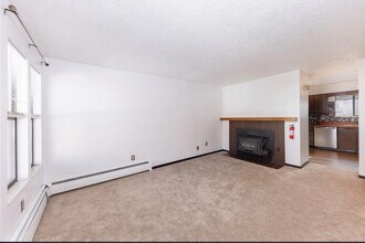 620 Straight Creek Dr in Dillon, CO - Building Photo - Building Photo